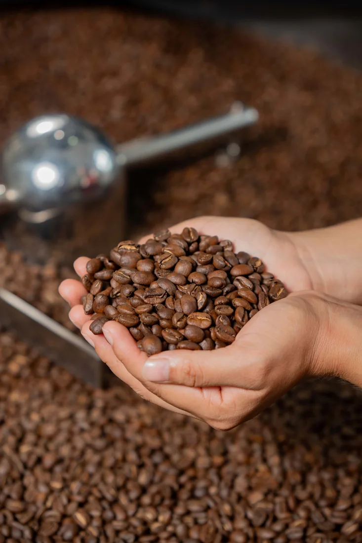 Granos de café Hullka recién tostados